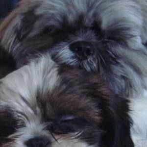 Meet your Posher, Gina